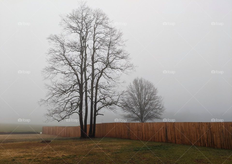 standing against the fog