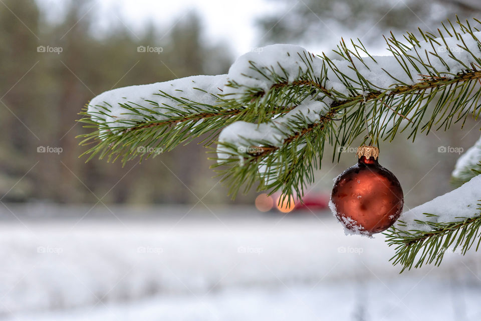 Red Christmas Ball on the snow covered Fir Branch next to the highway