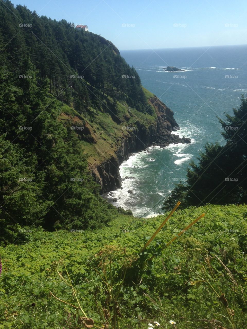 West coast. Beach trip