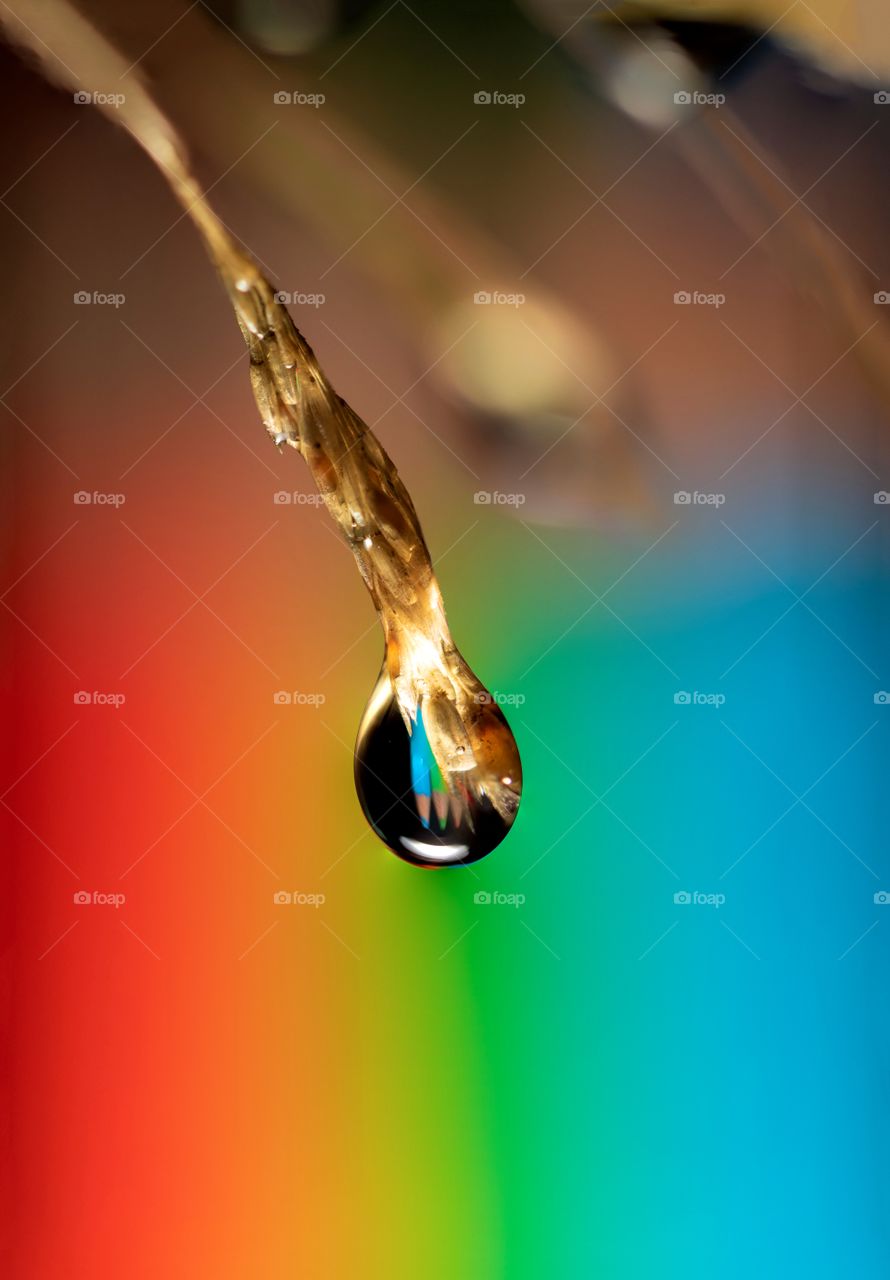 A macro portrait of a dew drop hanging from a blade of grass. the pencils positioned behind it are reflected in the water droplet and are blurred into a rainbow due to the shallow depth of field.