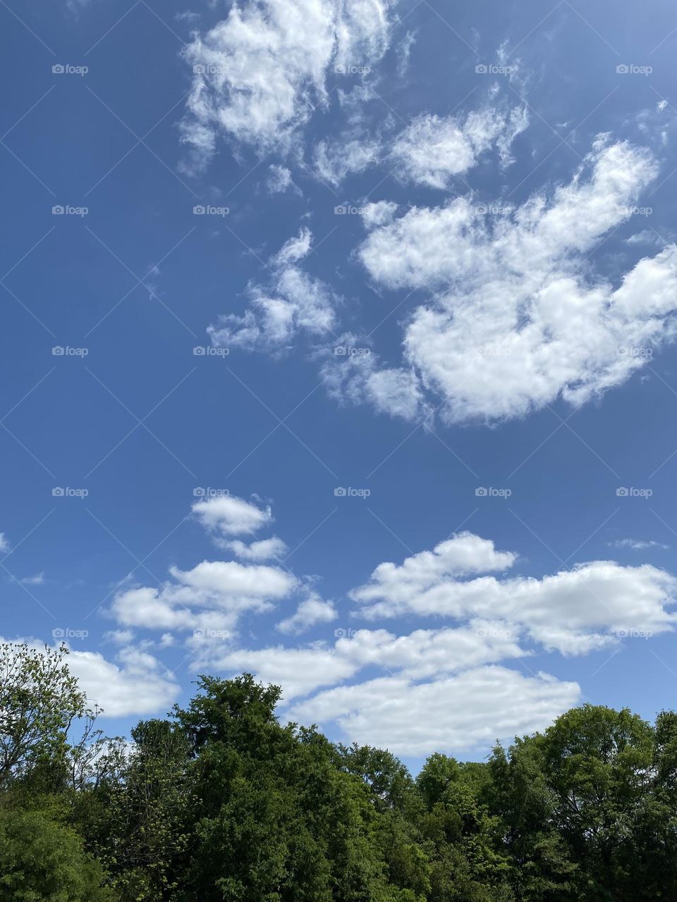 To see it is to love it 