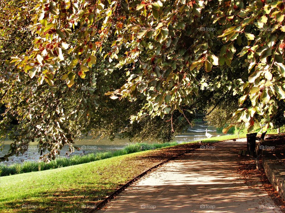 In the park