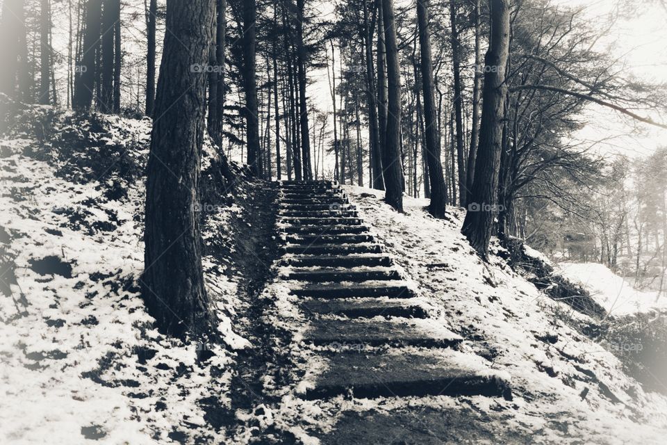 snowy steps