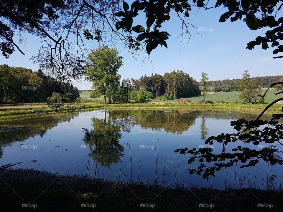 spiegelung am weiher