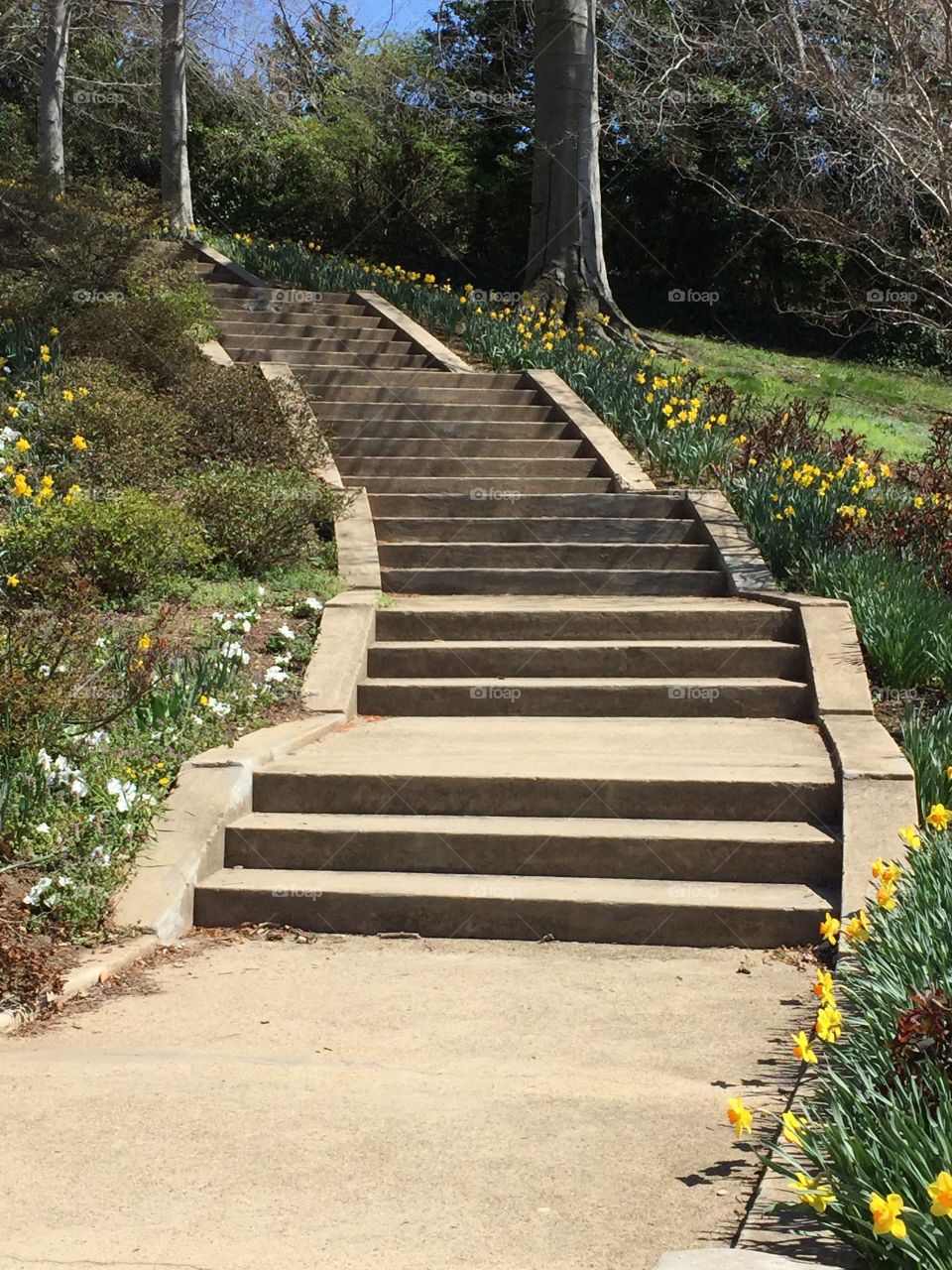 Stairway. Book Hill, Georgetown