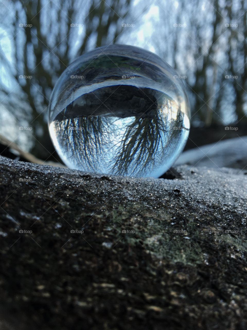 Nature through a Crystal ball 