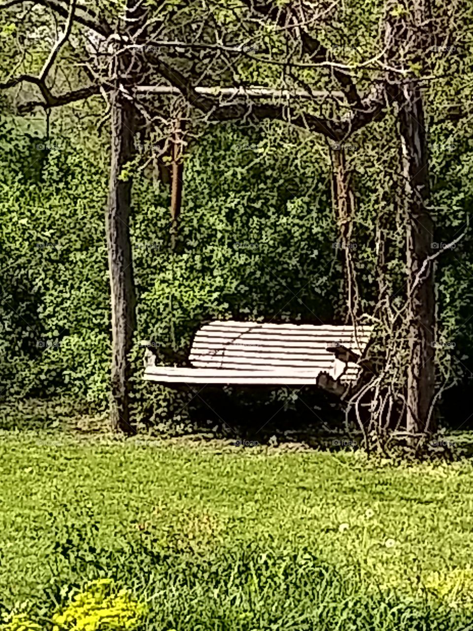 An inviting rustic swing in someone's back yard, at Arrow Rock, Missouri.