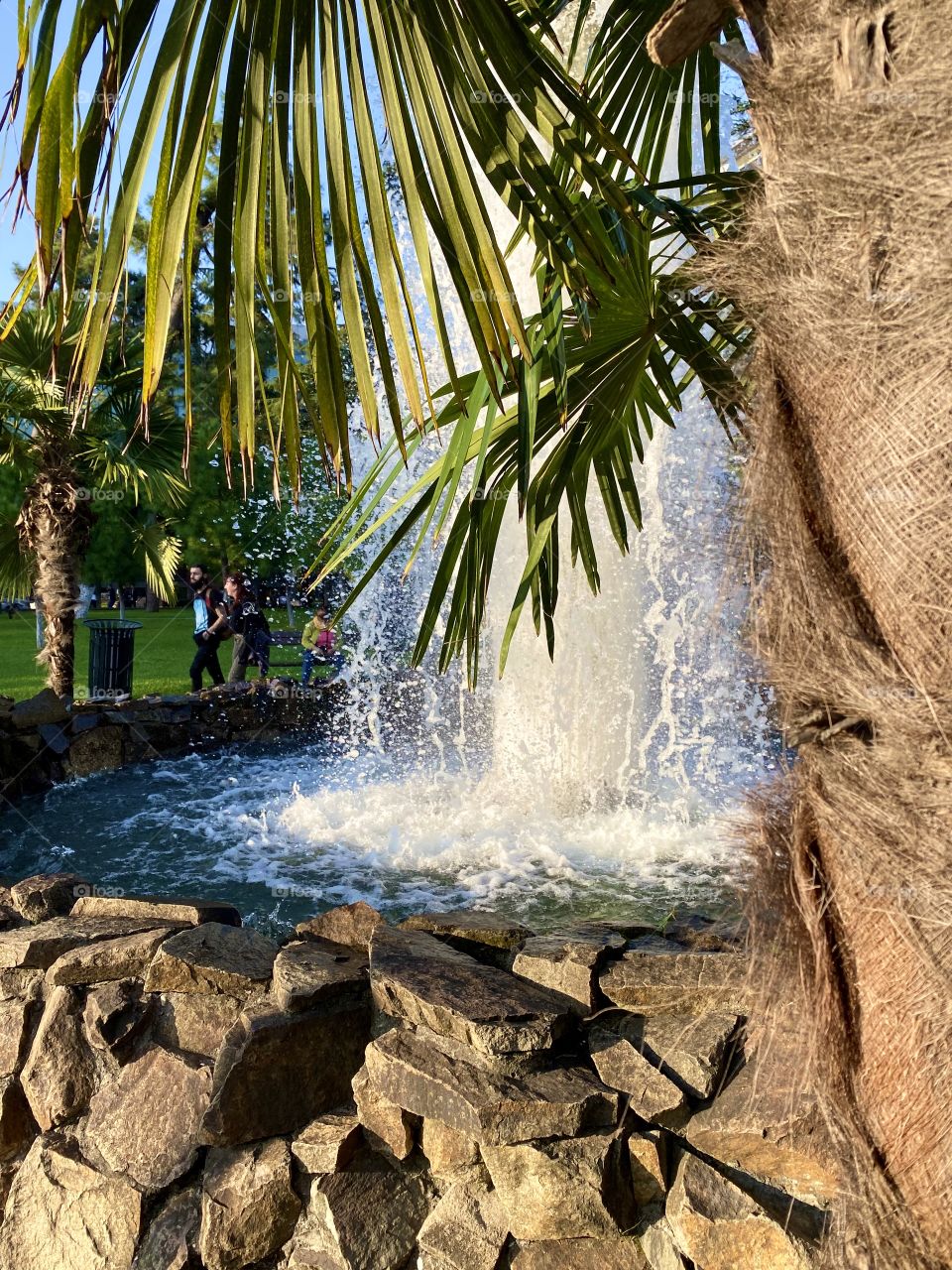 Waterfall and palm trees 