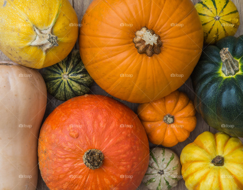 Looking down from above onto a variety of colourful pumpkins winter squash and gourds with copy space 