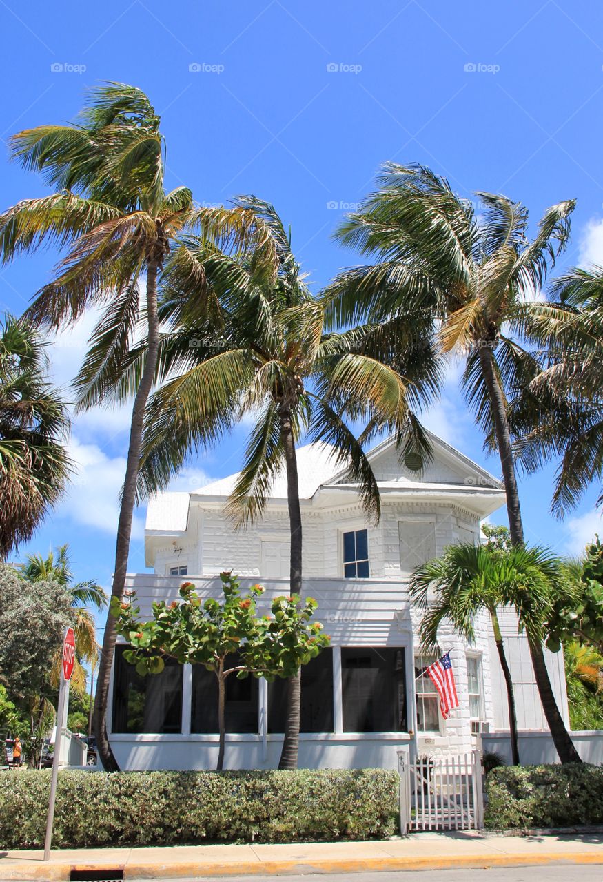 A house with palm trees 