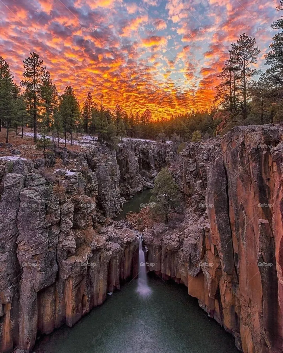 Arizona, USA