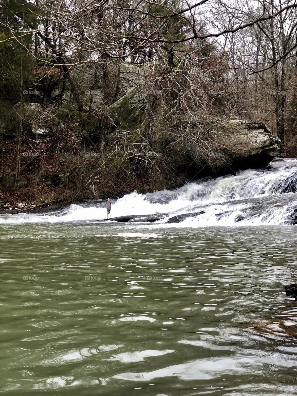 Rapids at Turkey Creek