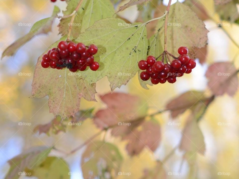 Красоты Кузбасса