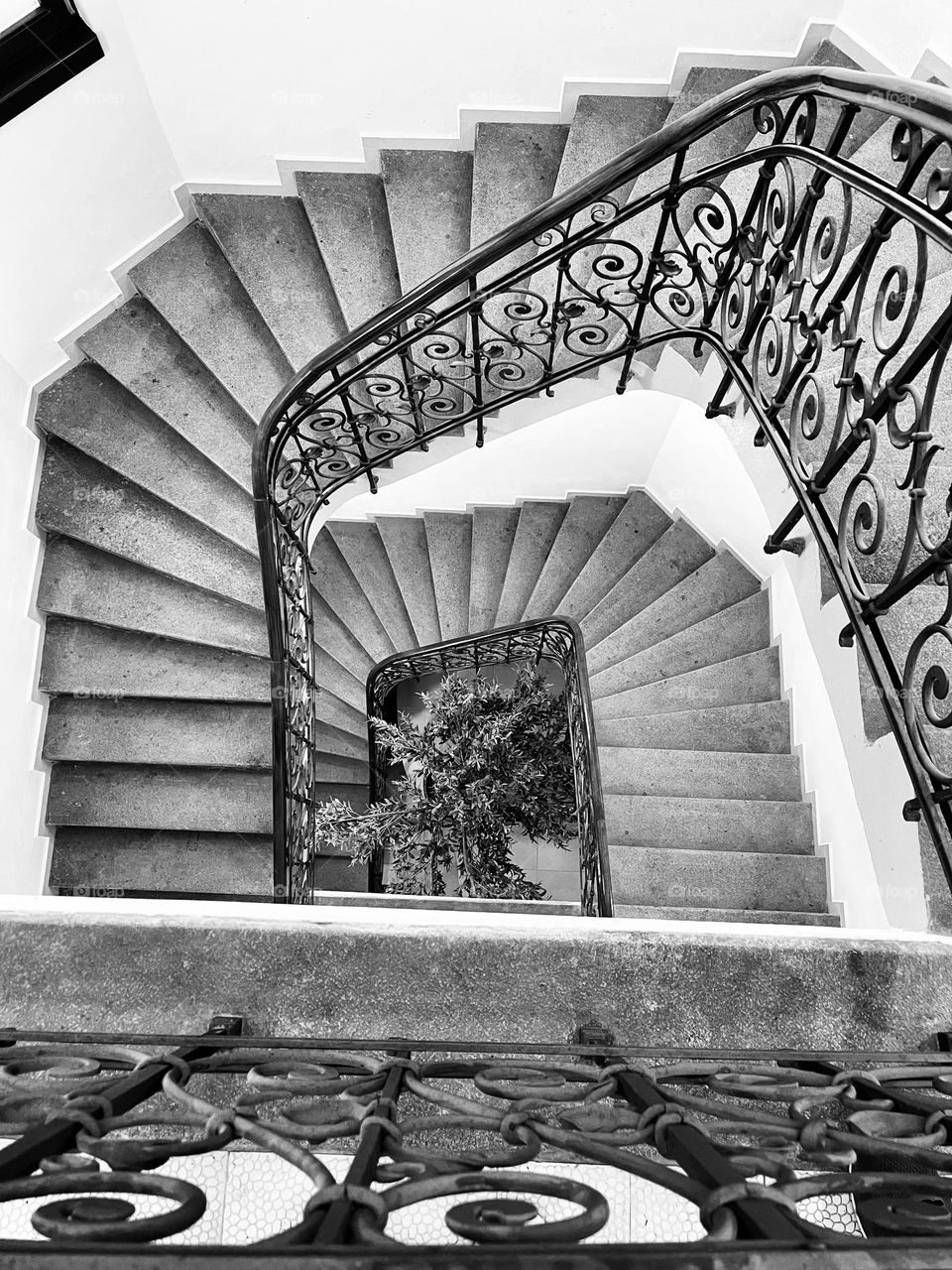 Black and white picture of stairs