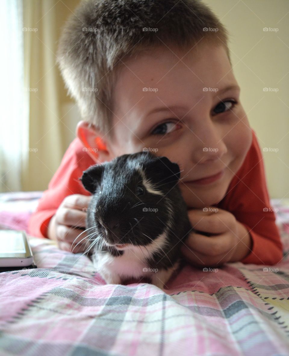 guinea pig and child boy funny portrait home, pet love