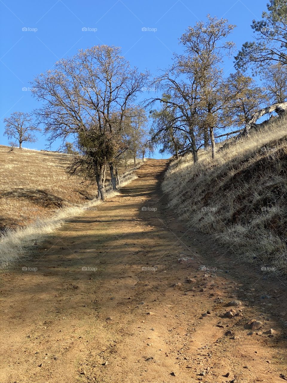 Cattle Shoot trail