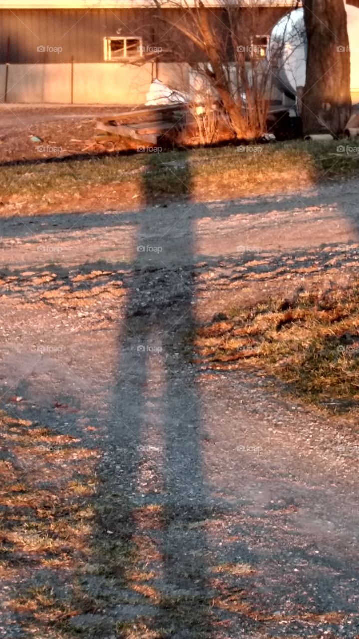 A Very Windy Cold Spring Day