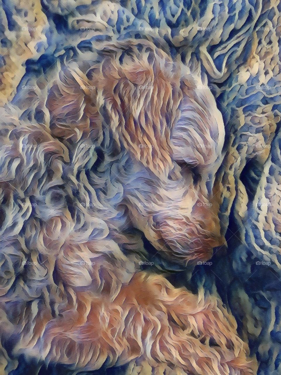 dog sleeping on knitted blanket