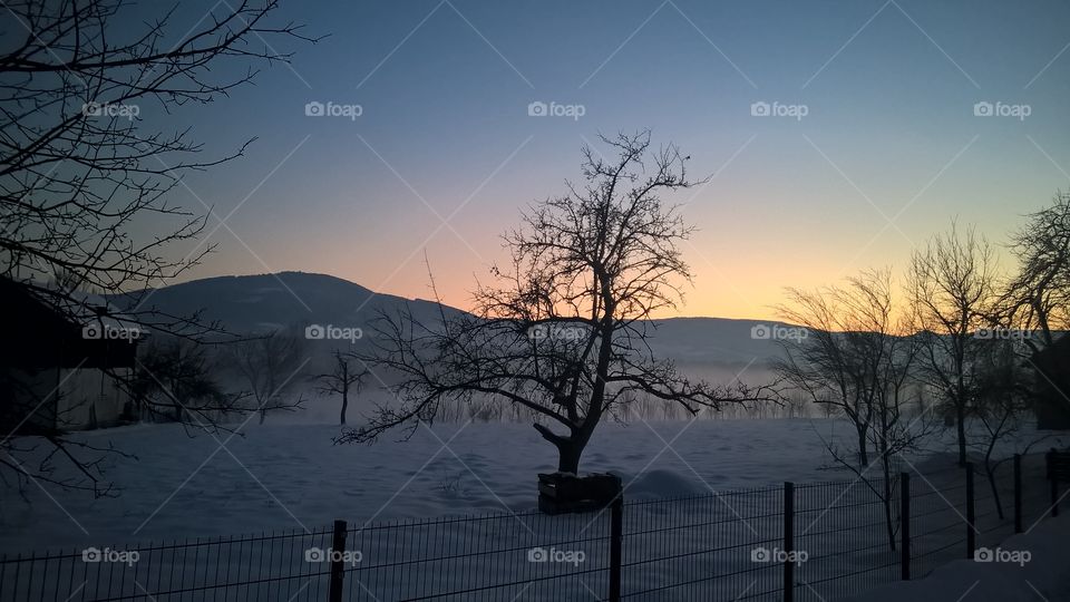 View of a sunrise during winter