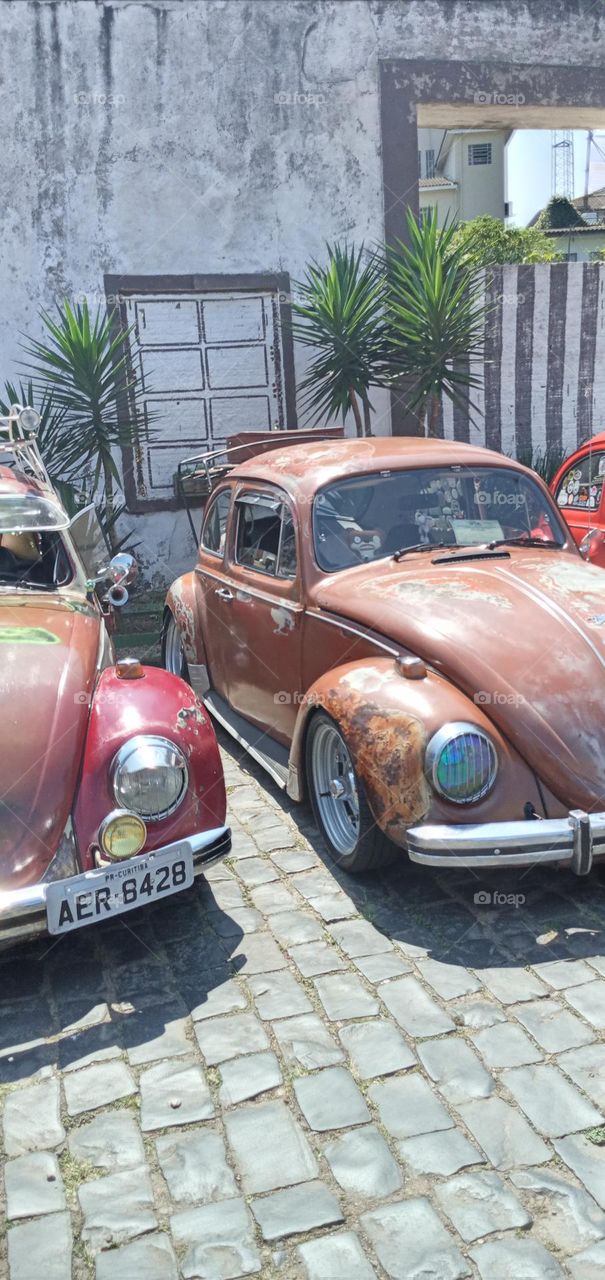fusca