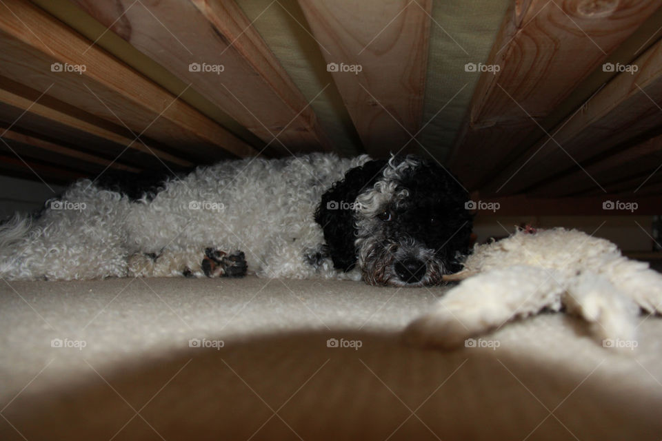 Found where I like to be