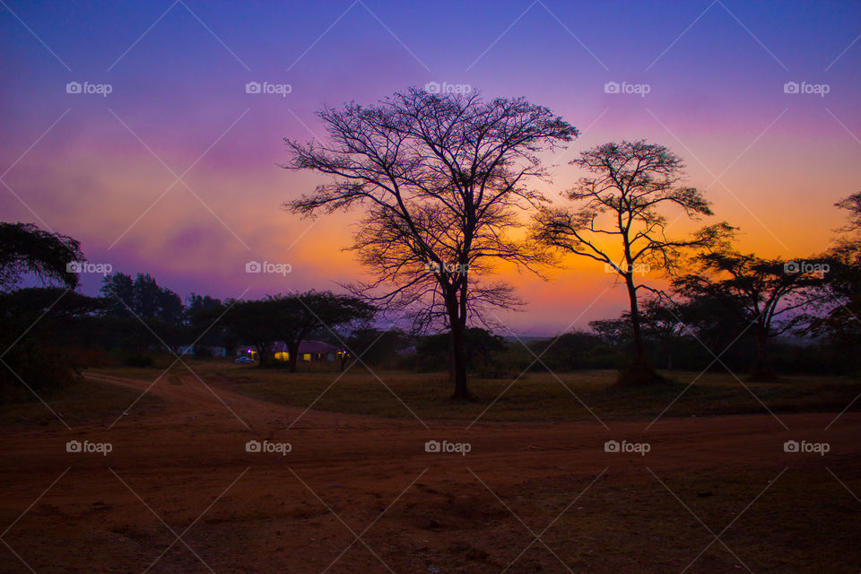 Sunrise on a dirt road could net believe the colors that the mist created over the golden skry.