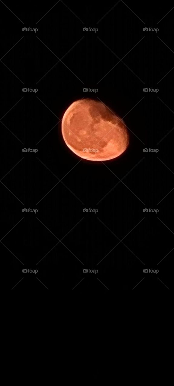 Blood moon