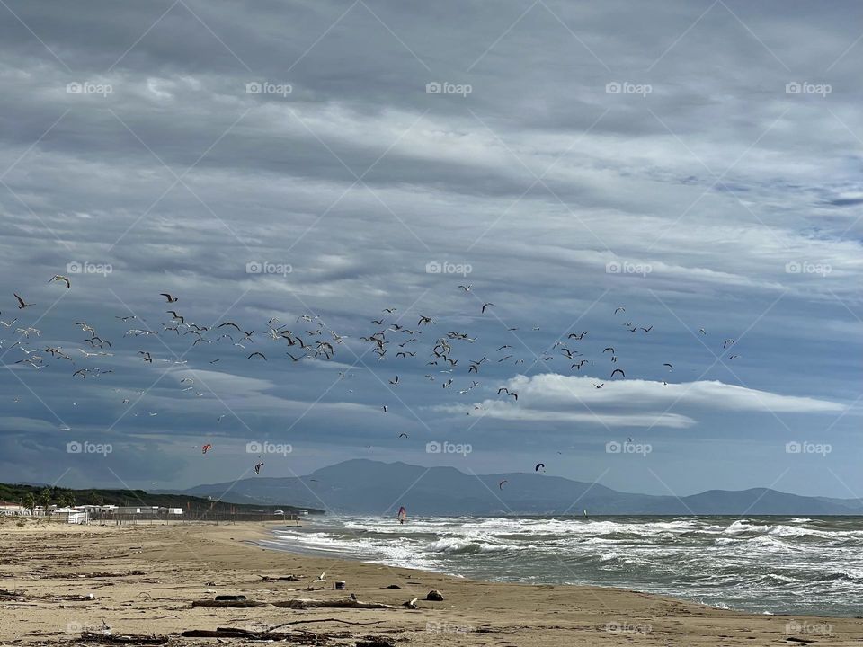 Autumn at the beach 