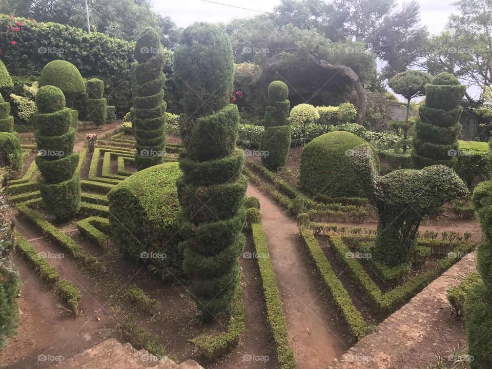 Jardim botânico Funchal 