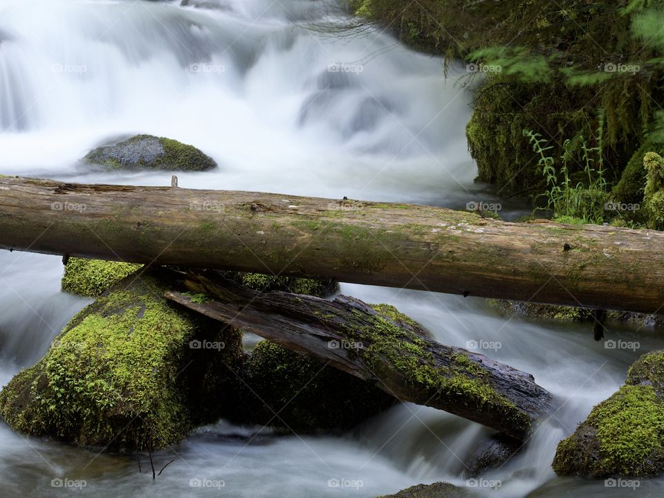 Moss covered rocks and logs in a waterfall in the woods of Southern Oregon on a nice spring day. 