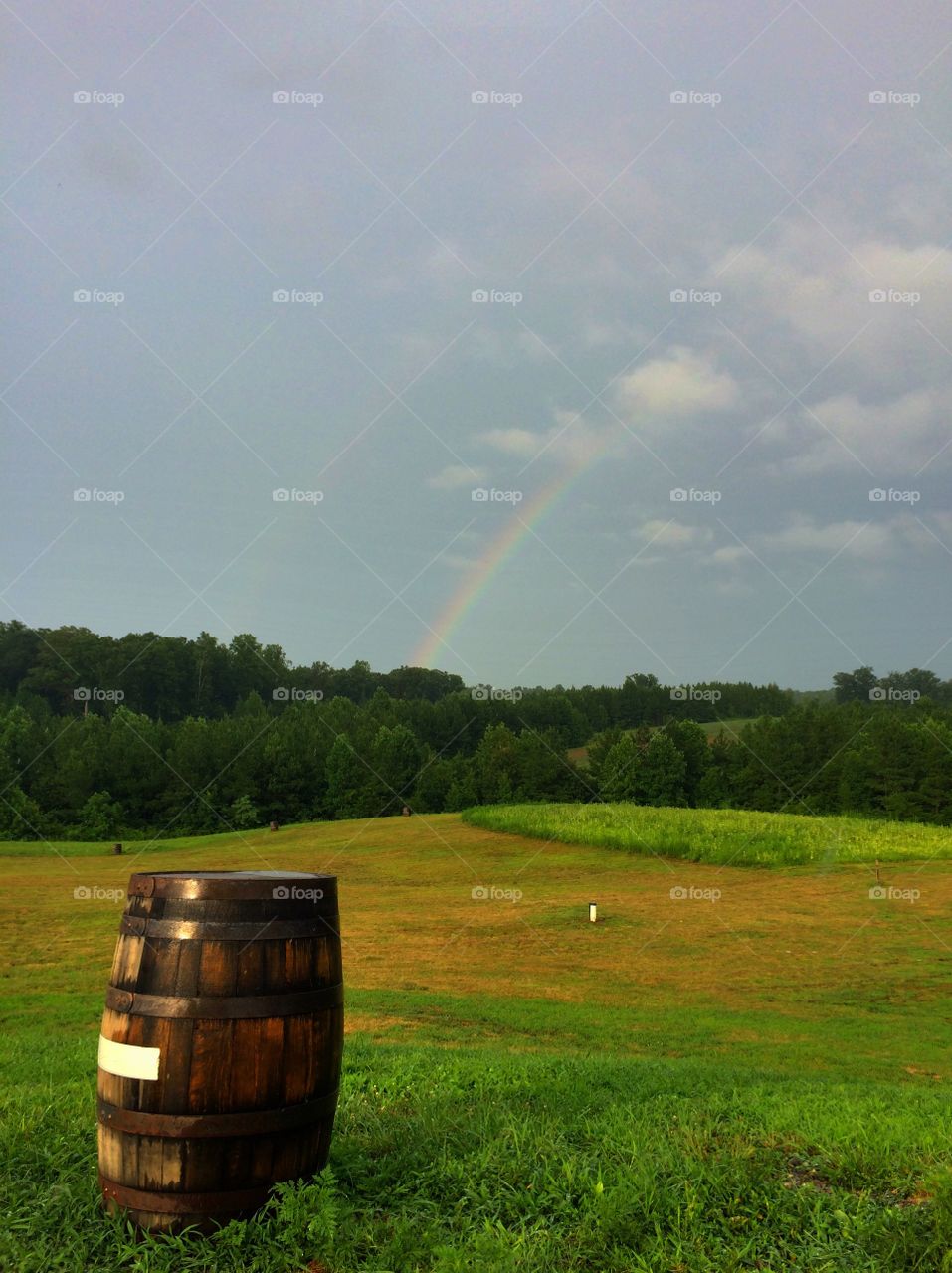Single barrel rainbow 