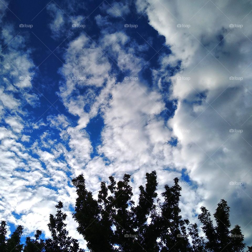 Blue sky, white clouds.