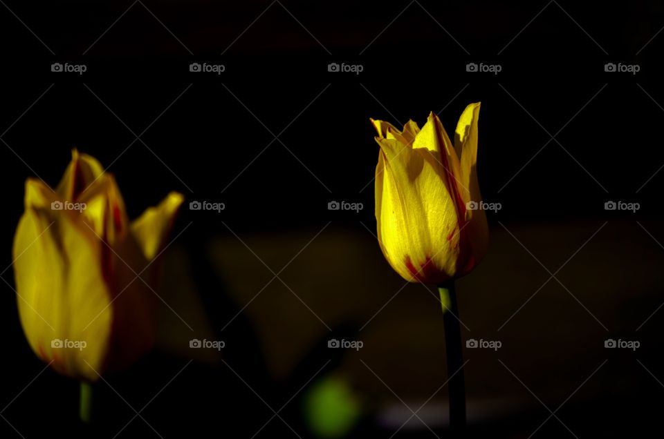 The Start Of A New Day