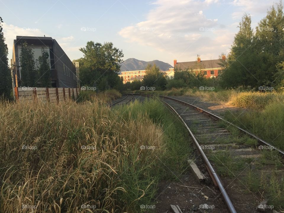 Railway, No Person, Locomotive, Train, Track