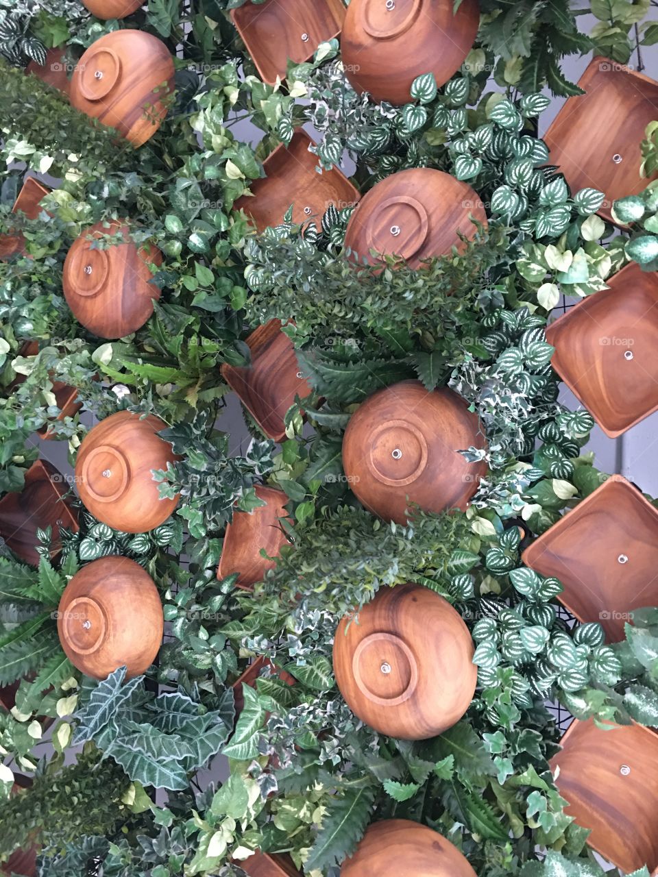 Pots and plants