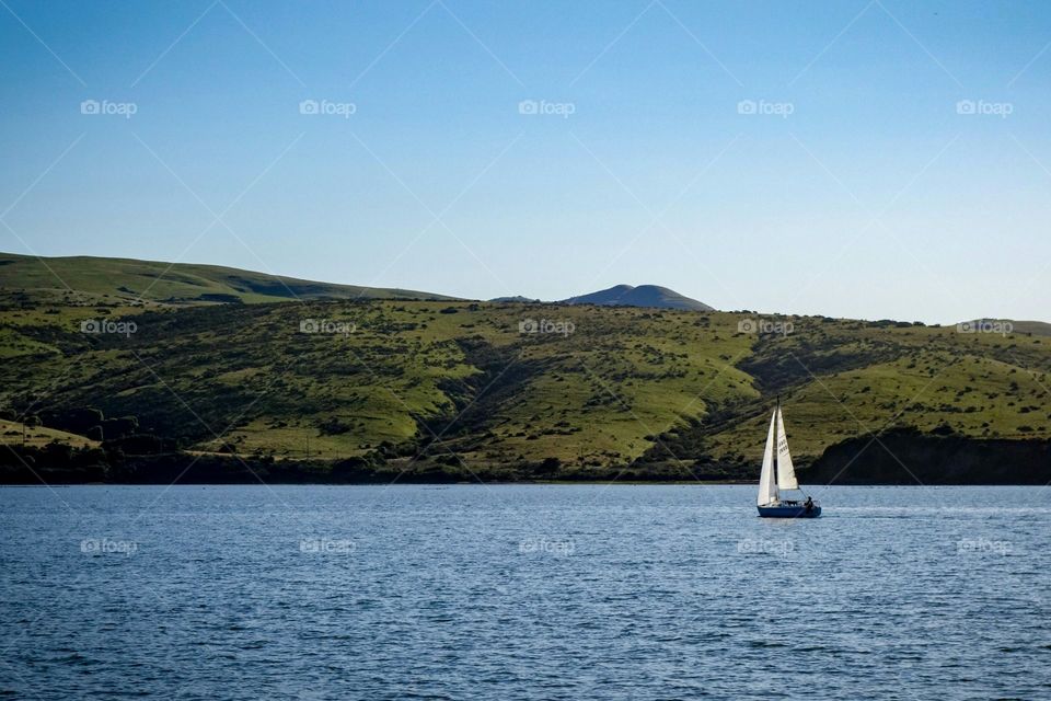 Sailboat sailing on sea against sky