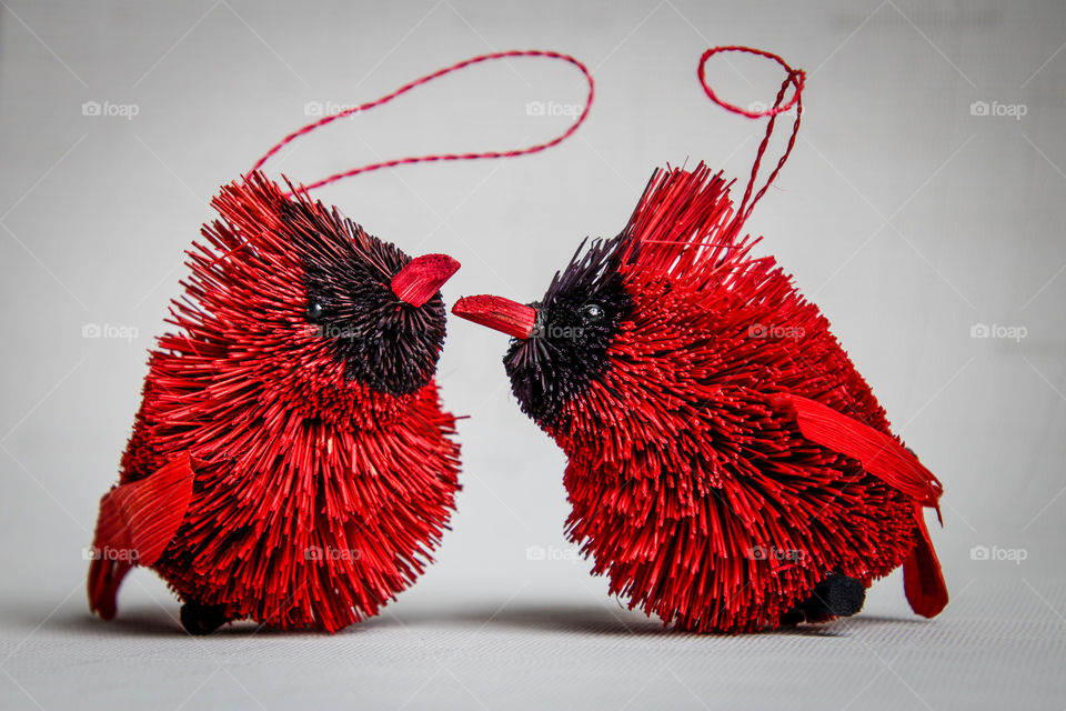 Couple of cute red cardinals, Christmas decor