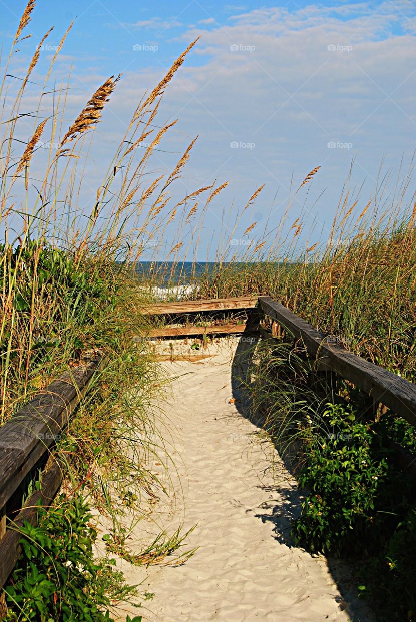 Wooden walkway to beach