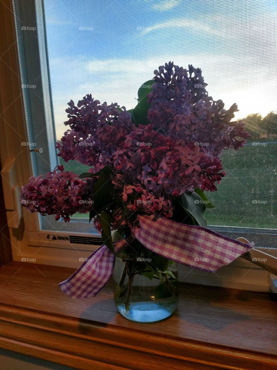 A gift of lilacs