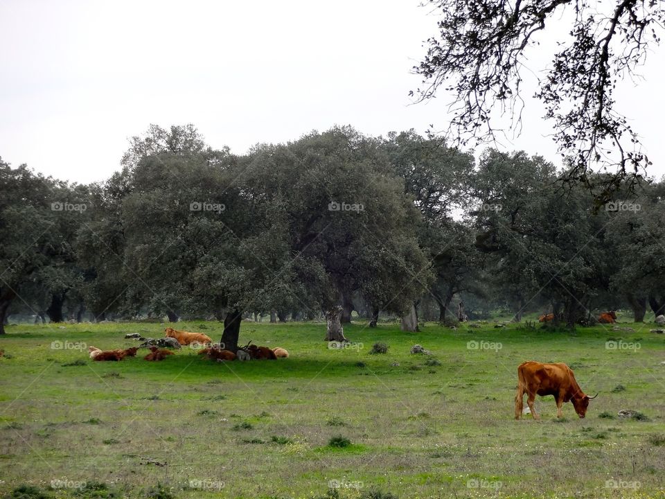 Hike outside Sevilla, Spain