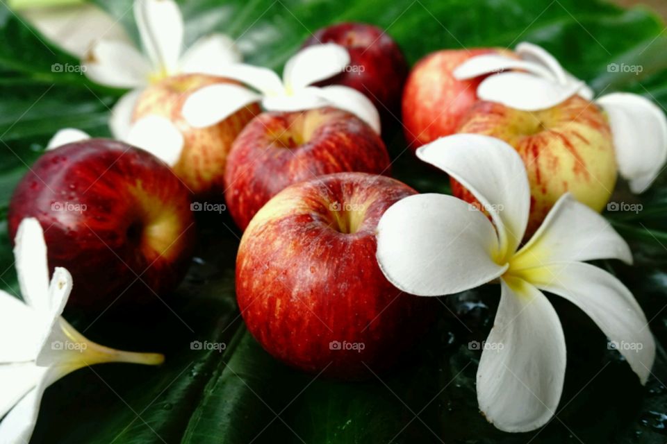 Apple and white flowers