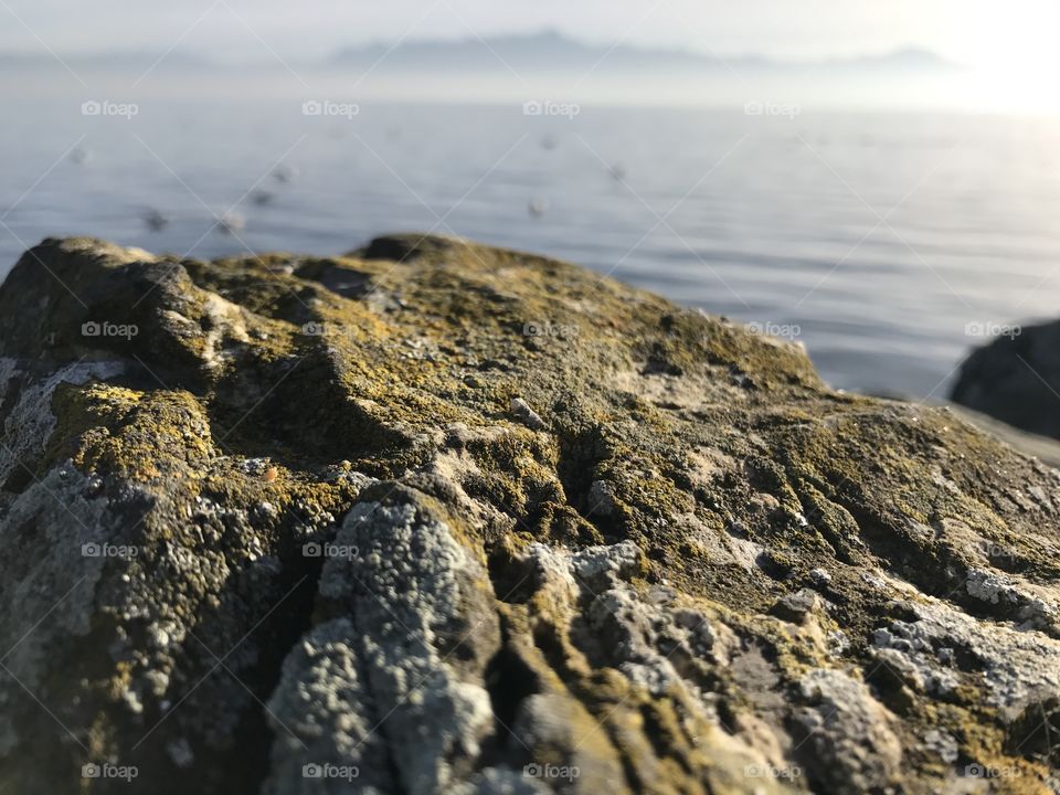 rock water stone