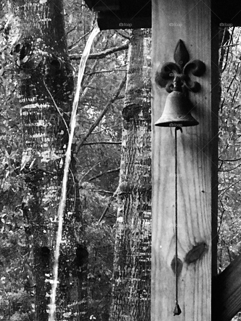 Water flowing out of the gutter near the wooden post accented by a black bell in the woods of South Georgia. 