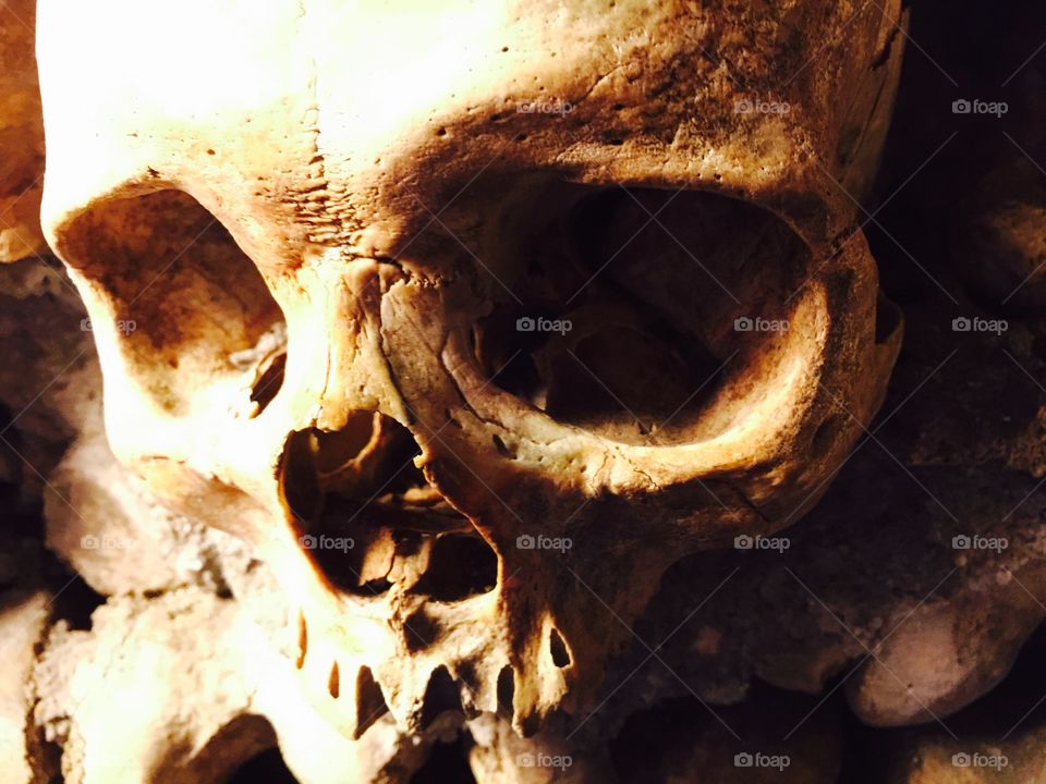 Skull - Catacombs - Paris 