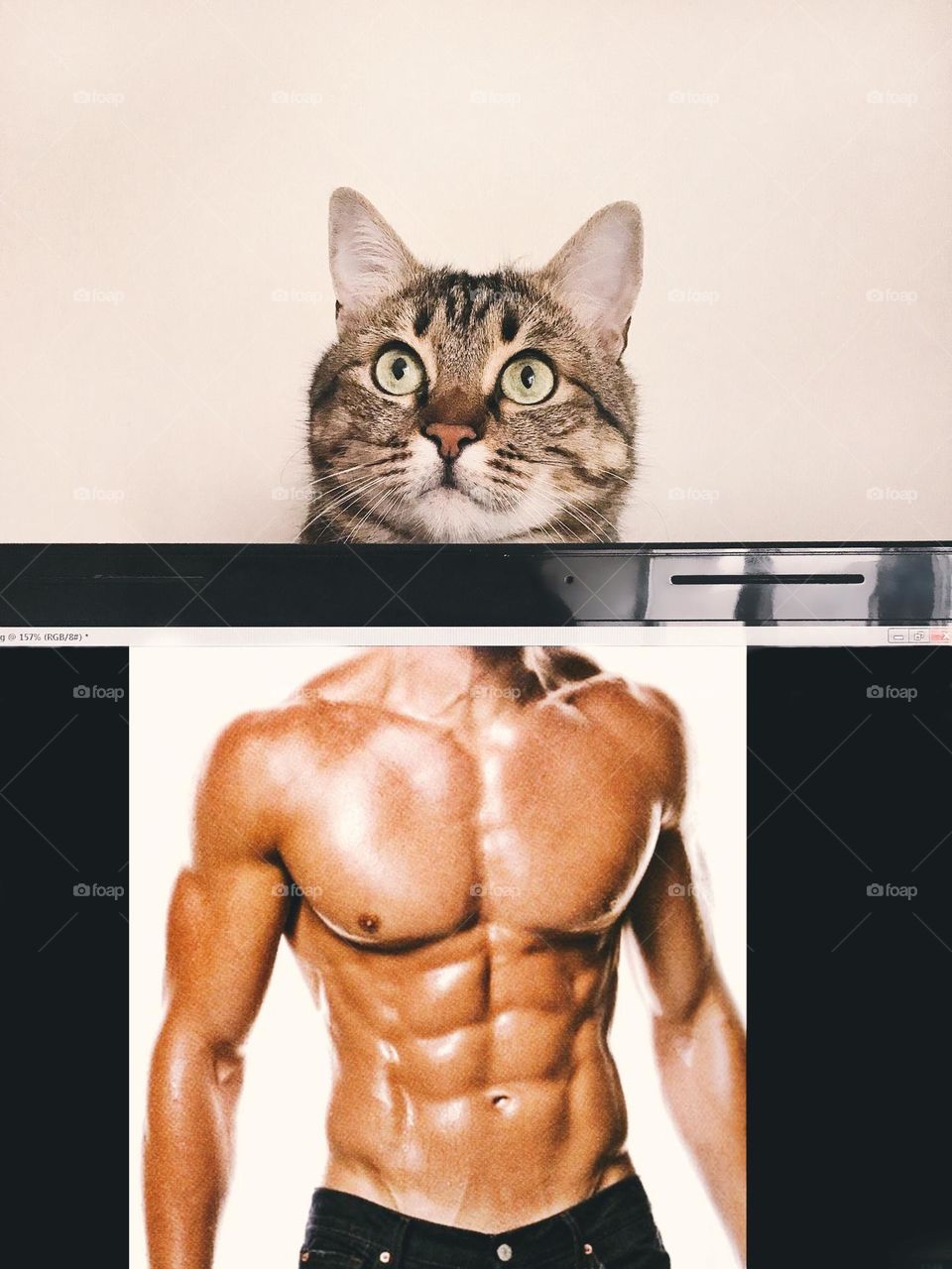 Cute photo with strong cat