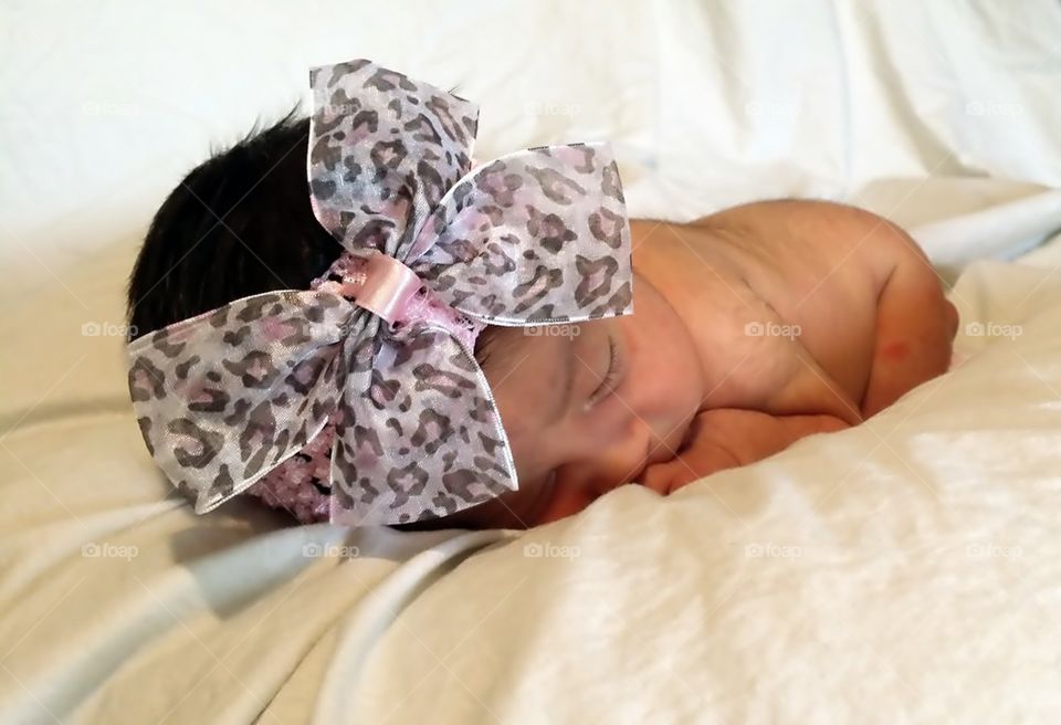 cheetah bow