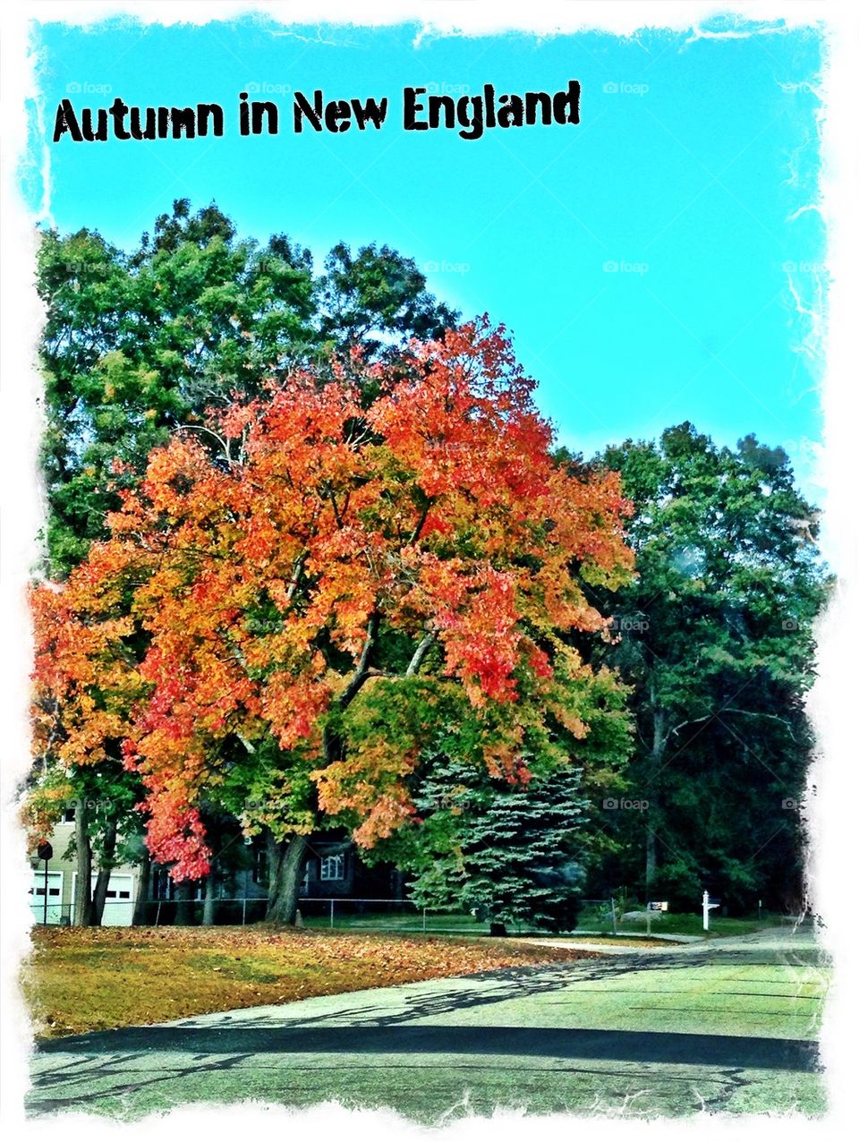 Autumn in New England