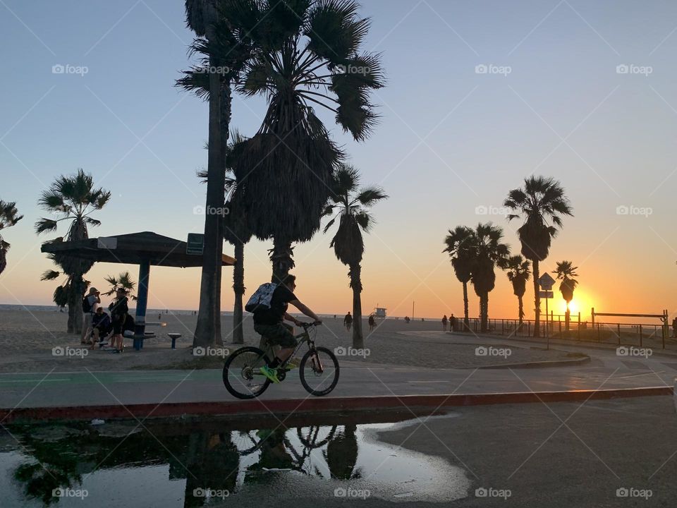 venice beach bike riding
