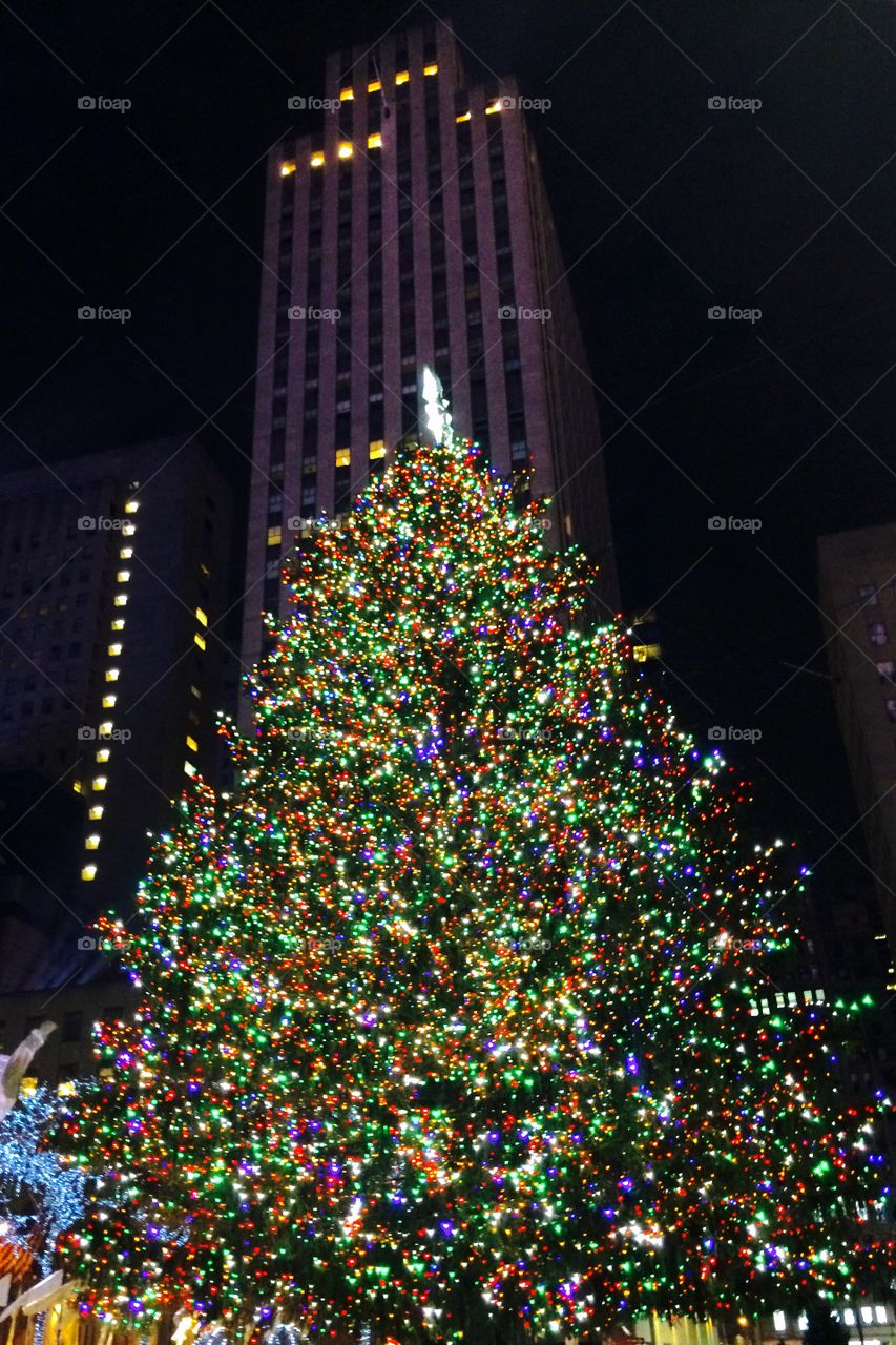 Rockefeller Center Christmas Tree 2015