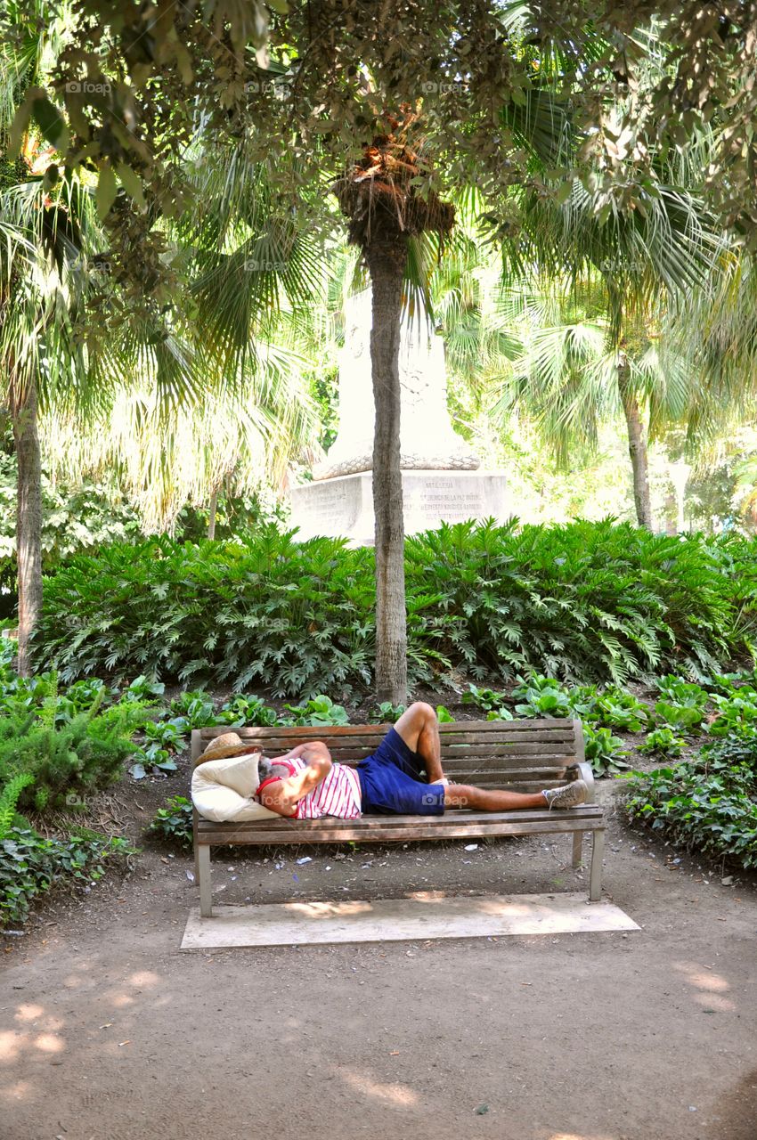 Man chilling in a park under a palm tree